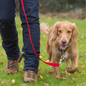 product walk with me