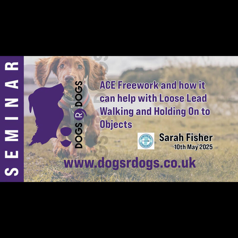 ace freework and how it can help with loose lead walking and holding on to objects