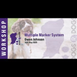 where’s the r in my hpr? (copy)