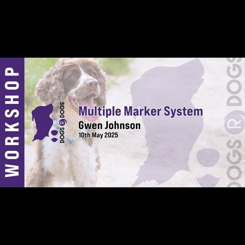 where’s the r in my hpr? (copy)