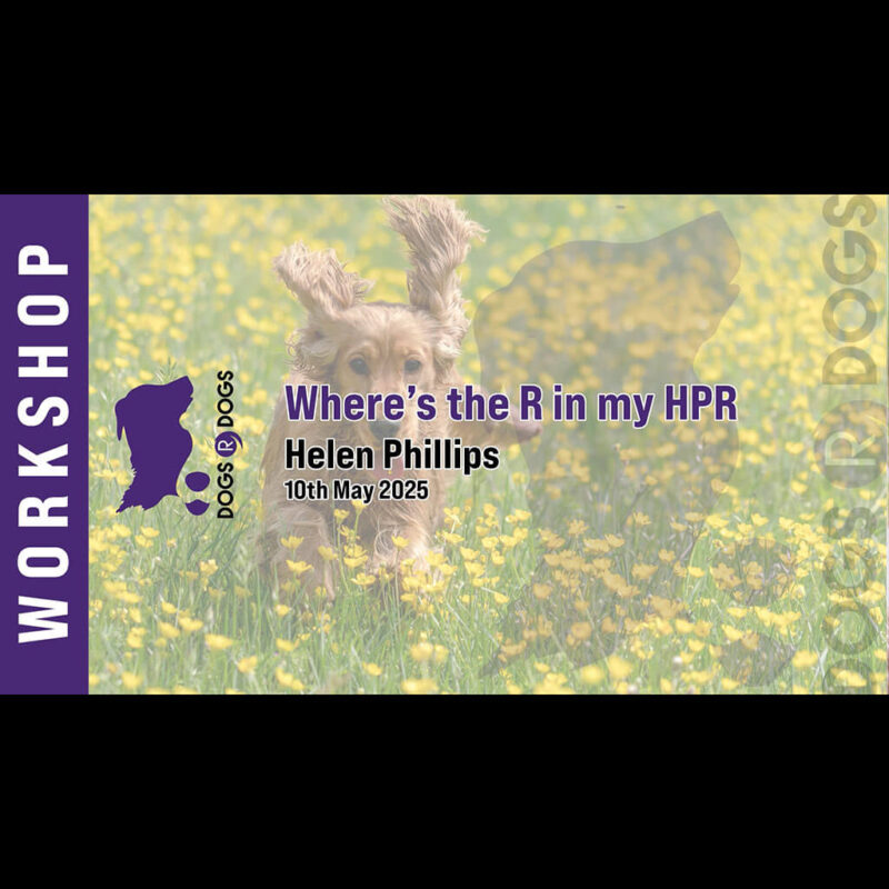 where’s the r in my hpr?