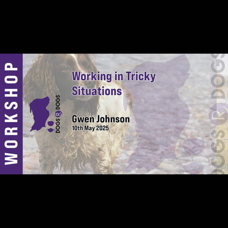 working in tricky environments reinforcement strategies that enhance relationships