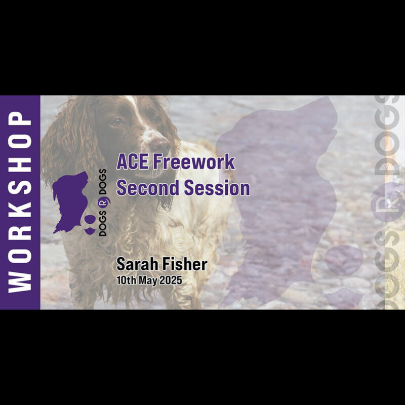 ace freework session 1 (copy)