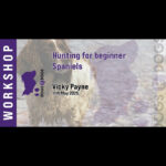 hunting for beginner spaniels