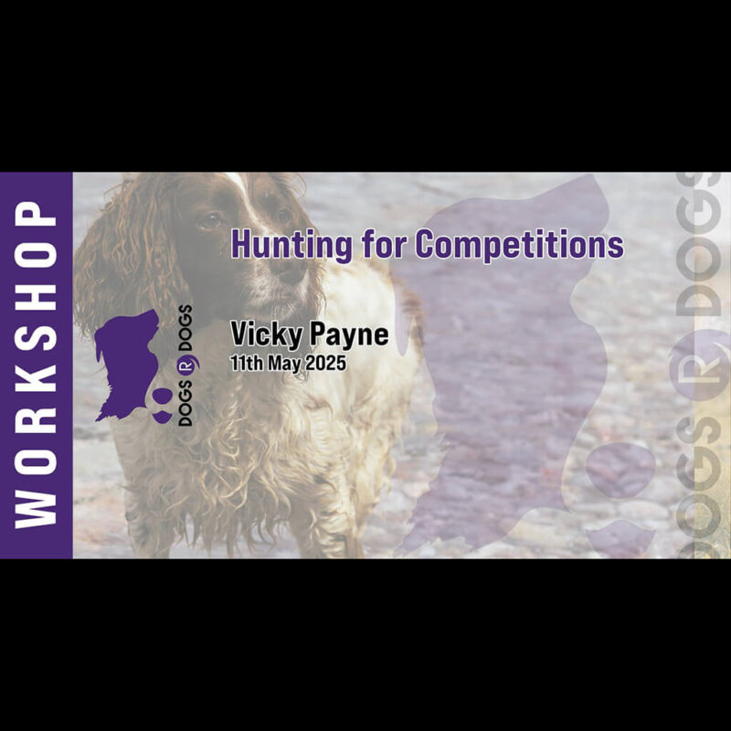 hunting for competitions