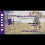 where’s the off switch