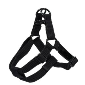 step in harness